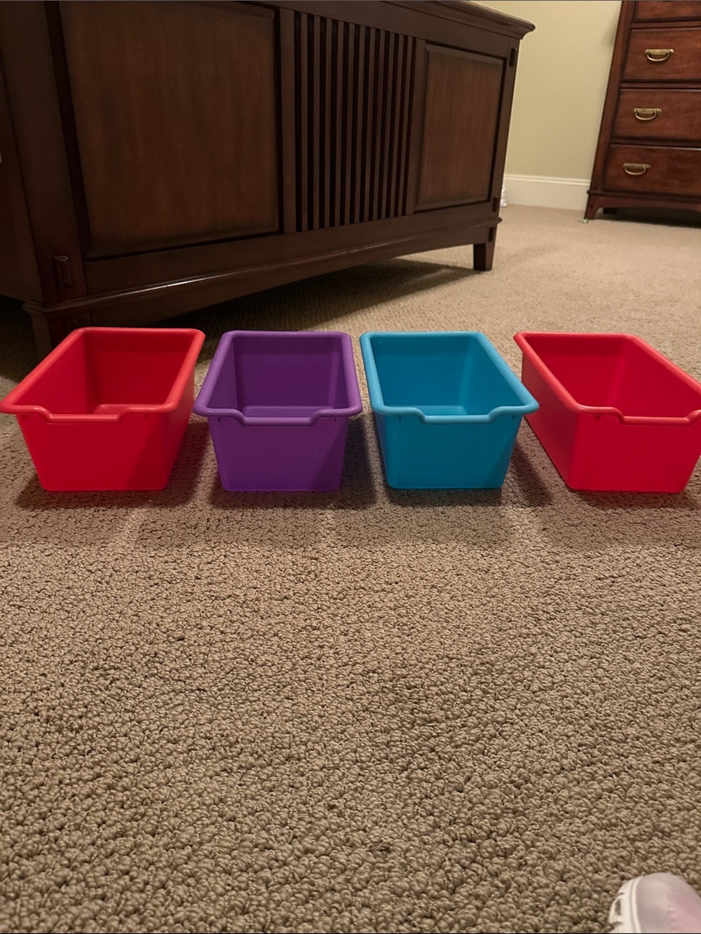 Organizational bins